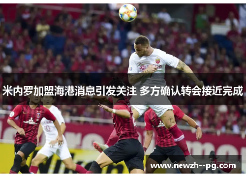 米内罗加盟海港消息引发关注 多方确认转会接近完成
