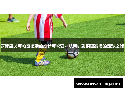 罗德里戈与帕雷德斯的成长与蜕变：从青训到顶级赛场的足球之路