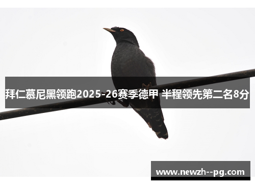 拜仁慕尼黑领跑2025-26赛季德甲 半程领先第二名8分